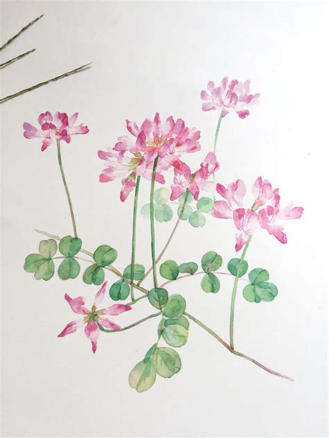 绘画素材库图片