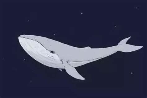 孤独的鲸鱼插画图片下载-正版图片401184072-摄图网