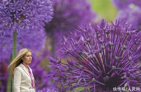 威斯丽花园（Wisley Garden）是英国皇家园艺协会(RHS)旗下花园中最精|花园|斯丽|园艺_新浪新闻