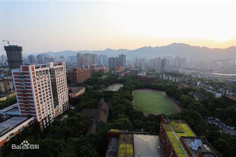 【新重庆】重庆大学新增4个本科专业 学校将全面开展校内专业评估 - 媒体重大 - 重庆大学新闻网