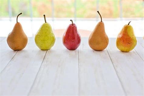 哪四种水果能降糖降脂降压（吃这4种水果能够降血压了解一下吧） – 碳资讯