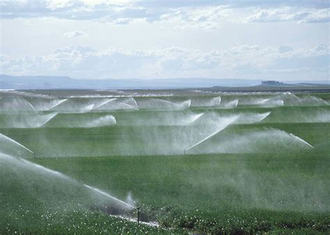 液位传感器在农场基于生长智能自动灌溉方案中的应用