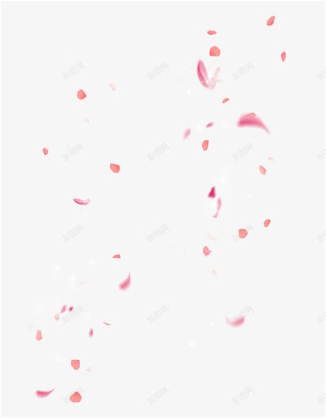飘落的樱花瓣png图片免费下载-素材fbpvv-88ICON