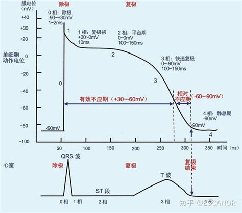 帕金森综合征与溶酶体离子通道关系大揭秘，即刻了解！