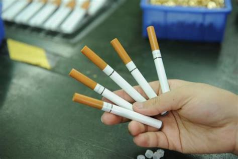 福建海警联合烟草局在宁德泉州两地共查获违法卷烟近7万条 -本网原创 - 东南网宁德频道