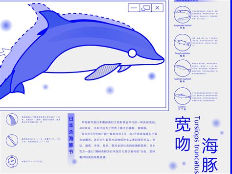 中华白海豚信息可视化_小马顶呱呱-站酷ZCOOL