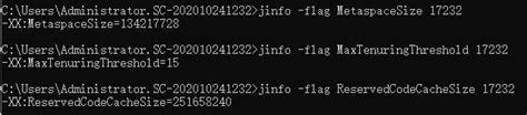 Linux查看应用Jvm参数的几种方式_linux查看jvm配置-CSDN博客