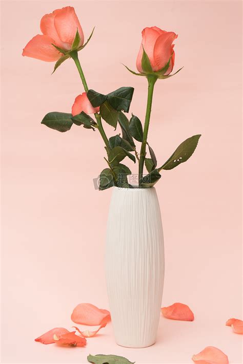 白色简约现代北欧风格陶瓷花瓶三件套花器工艺术品家居摆件中号-阿里巴巴