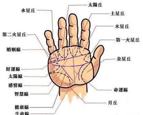 看手相图解图片