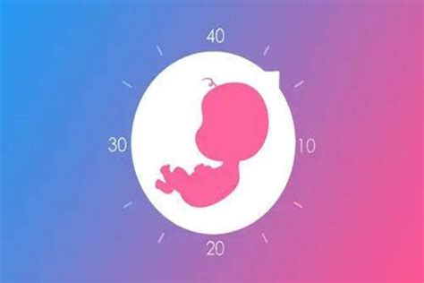 怀孕多久能测出胎心来-孕育常识_亲子宝典库-孕多多