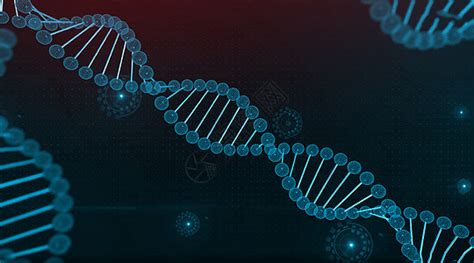 DNA基因螺旋结构图片素材-正版创意图片400302524-摄图网
