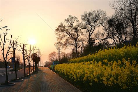 北京：春光明媚的颐和园-人民图片网