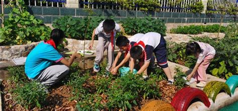 中国水电三局 工会工作 员工小菜园 一起来播种