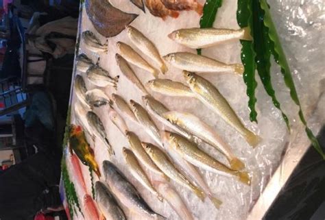开渔盛世！海口新鲜鱼虾、螃蟹“上市”，您中意哪款？
