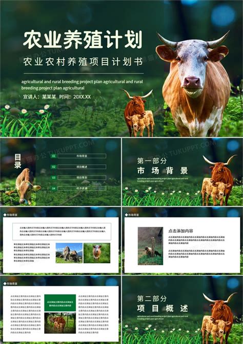 关于农业立体养殖项目计划书Word模板下载_编号lgndogon_熊猫办公