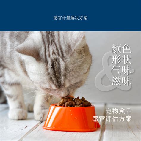 狗狗正确喂食时间表 – 中国宠物网