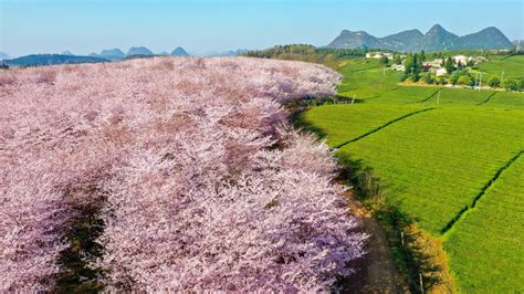 安顺最美的10大景区推荐：除了黄果树瀑布还有这么多好玩的地方_贵州_峡谷_文化