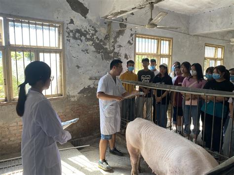 畜牧兽医专业开展2021级新生职业体验-重庆三峡职业学院动物科技学院