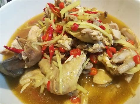 【🦏国宴湘菜—东安鸡的做法步骤图】犀牛的牙签鸟_下厨房