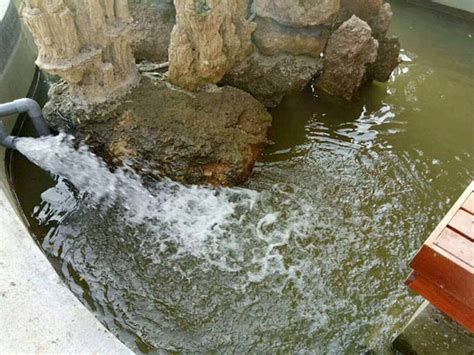 日照水务集团预计明年7月份正式供水_ 济宁艺水芳源生态水族设备有限公司