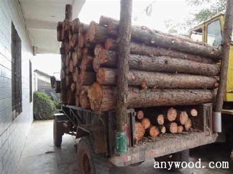贺州市八步区断非法木材运输财路【批木网】 - 木业行业 - 批木网