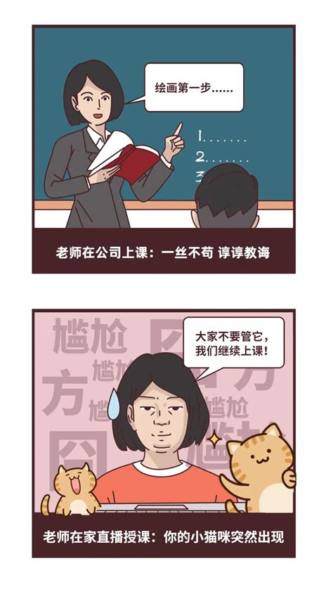 老师因教学直播时家猫5次闯进画面被开除 法院判了_凤凰网资讯_凤凰网