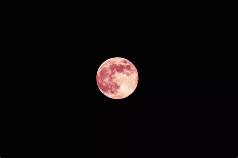 日本网友晒出“平成最后的满月”，今夜的月色，太美太惊艳了！|月色|满月|月亮_新浪新闻