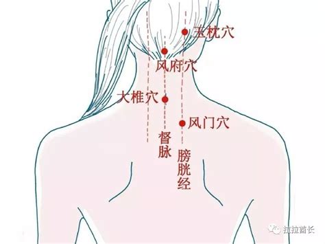 冲脉的准确位置图图片
