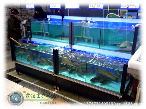 盒马鲜生生鲜超市鱼缸水产贝类海鲜鱼池定制松下机组制冷鱼缸