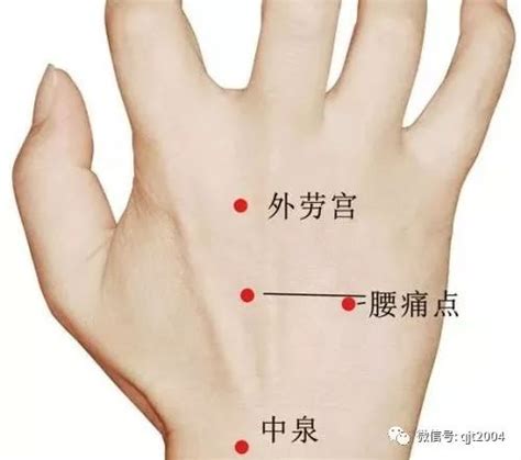 百劳的准确位置图图片 百劳的准确位置图图片