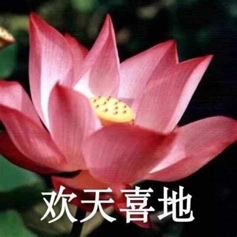 老年人头像图片