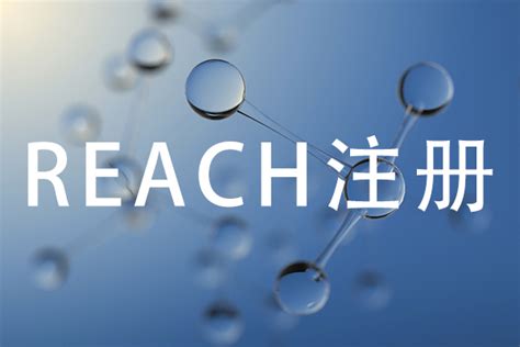 REACH ECHA建议改进REACH注册 - 绿易软件