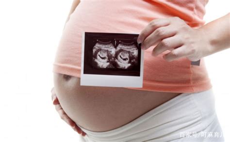 怀双胞胎有什么感觉？跟单胎有什么不同？这些信息孕妇要搞清楚|孕妇|双胞胎|胎儿_新浪新闻