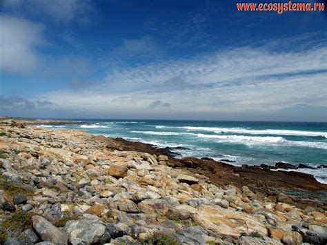 Visit Cape Town, South Africa | Tailor-made Trips | Audley Travel UK
