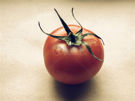 红番茄蔬菜古代不饱和红番茄Solanumlycopersicum蔬菜素食高清图片下载-正版图片306901900-摄图网