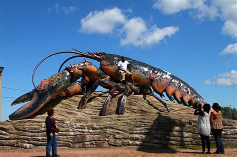 世上最大的龙虾 澳洲大龙虾-51区未解之谜网