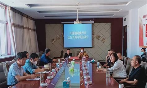 西陵区优化营商环境协商座谈会在三峡企业总部召开 - 公司新闻 - 新闻中心 - 致盛集团