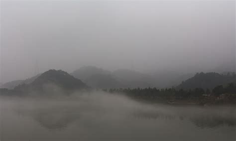 群天鹅日出时游过雾蒙蒙的秋湖高清图片下载-正版图片300697786-摄图网