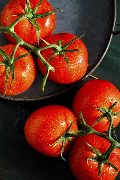 新鲜的绿色西红柿绿色植物与番茄植物高清图片下载-正版图片300629787-摄图网