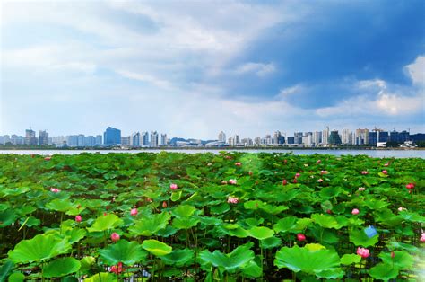 四川遂宁：城市湿地别样美-人民图片网