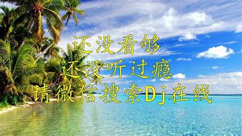 清风DJ最新版软件app下载-清风DJ最新版安卓下载-安卓巴士