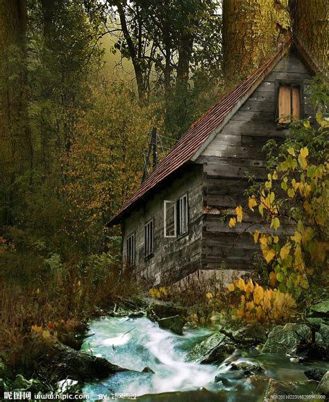 森林里的小屋图片-童话森林里的小屋素材-高清图片-摄影照片-寻图免费打包下载