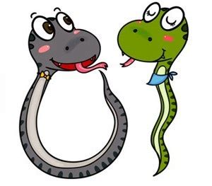 蛇是怎么交配的（蛇有几个繁殖器官，怎么进行有性生殖）-大盘站 - 大盘站