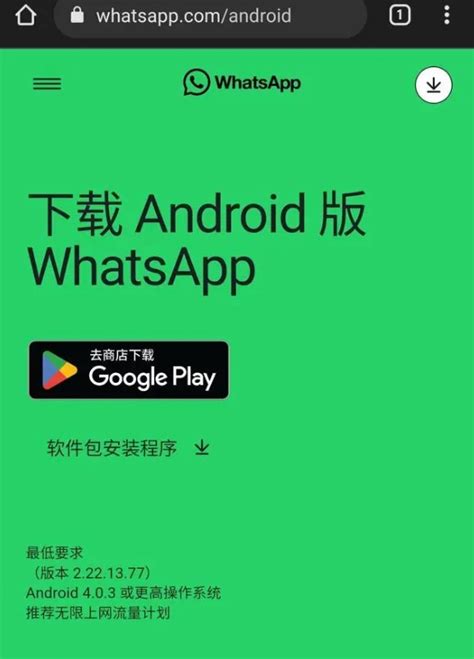 whatsapp官网网页版登录入口v2.21.3.19下载_whatsappapp最新下载 - 爱玩猪手游网