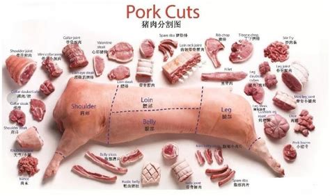 白条猪肉分割技术_肉制品加工_食品生产加工技术_生产技术_世界食品网
