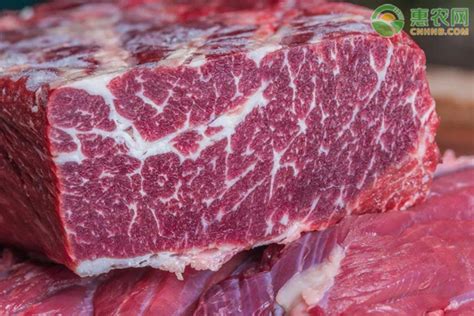 2021年牛肉价格多少钱一斤？牛肉价格为何上涨？ - 惠农网