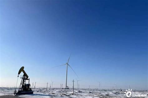 国家电投黑龙江分公司大庆海智100MW风电项目并网发电-国际风力发电网