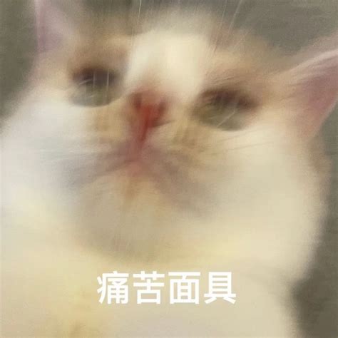 sraru『救救我』表情包w图片