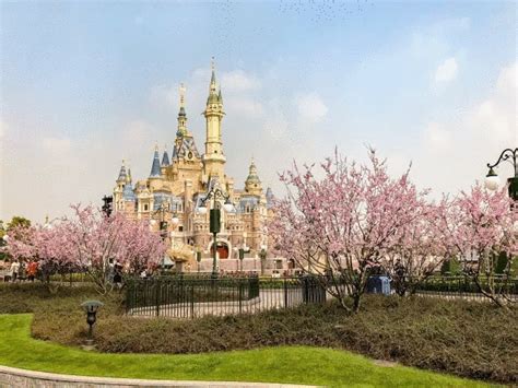 最新的上海迪士尼乐园攻略 -年卡篇_国内门票与活动_什么值得买