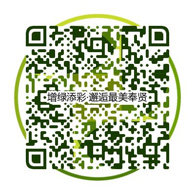 推广“场所码”+增设“数字哨兵”：上海奉贤用数字赋能疫情防控 - 周到上海